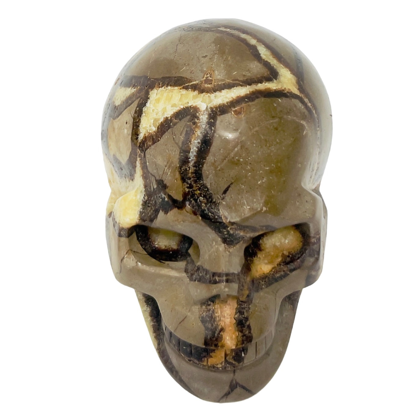 Septarian Jasper Dragon Stone Skull Healing Crystal Carving 1032g