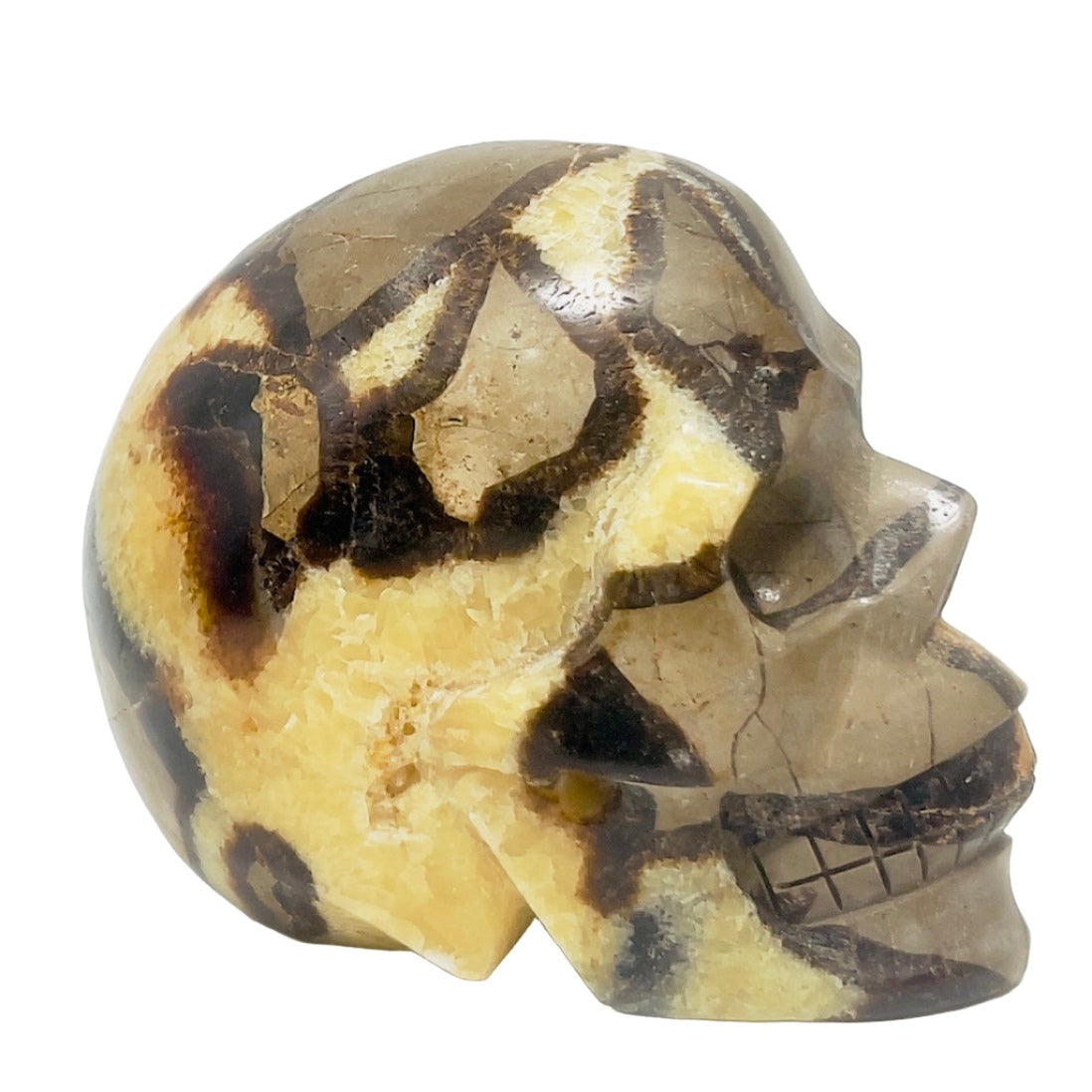 Septarian Jasper Dragon Stone Skull Healing Crystal Carving 1032g