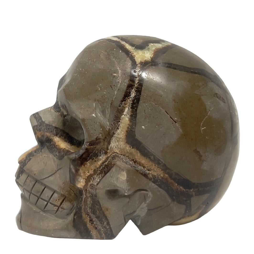 Septarian Jasper Dragon Stone Skull Healing Crystal Carving 1032g