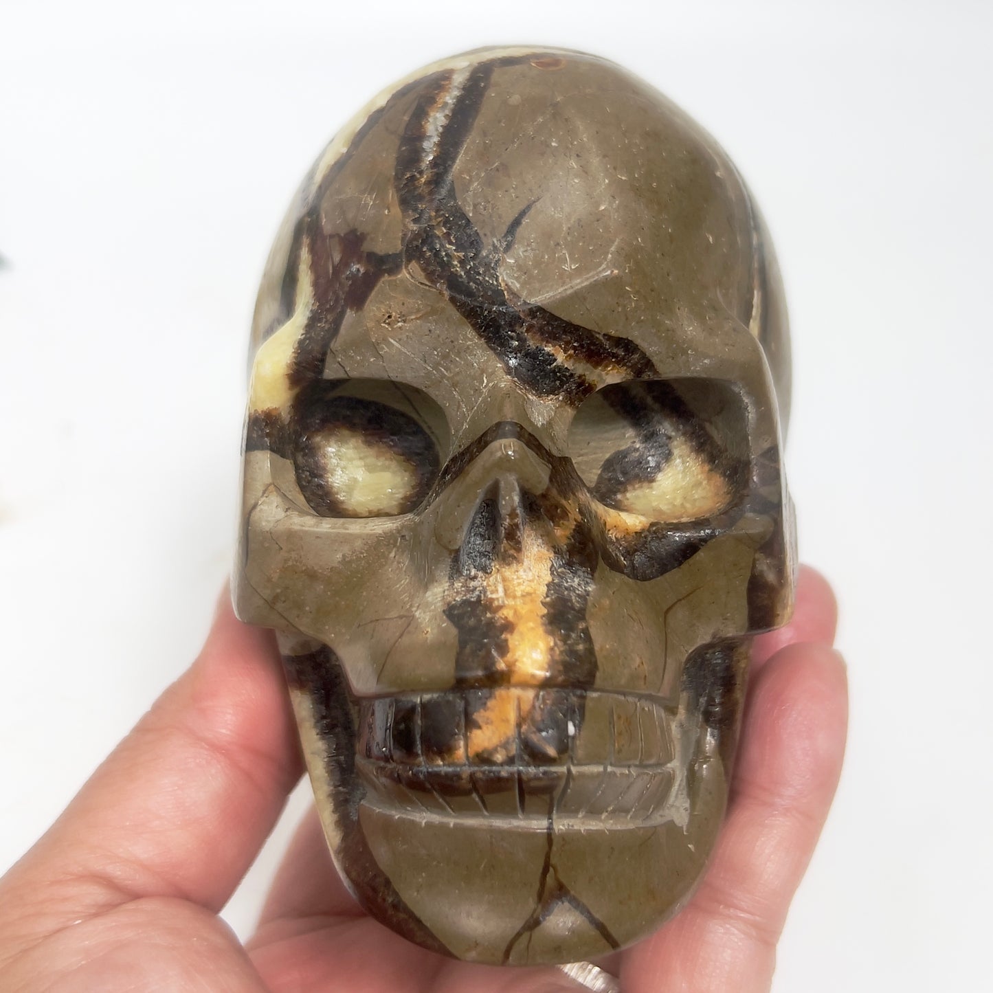 Septarian Jasper Dragon Stone Skull Healing Crystal Carving 1032g