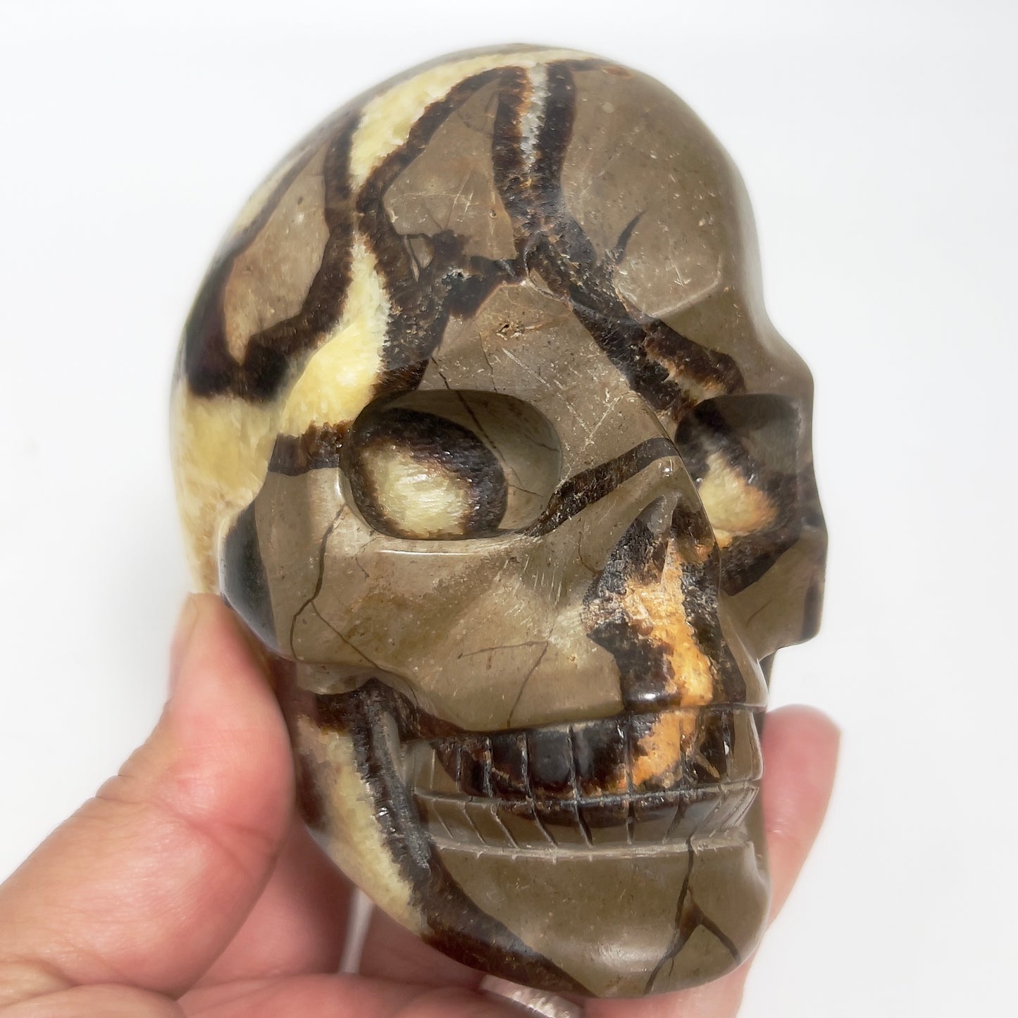Septarian Jasper Dragon Stone Skull Healing Crystal Carving 1032g