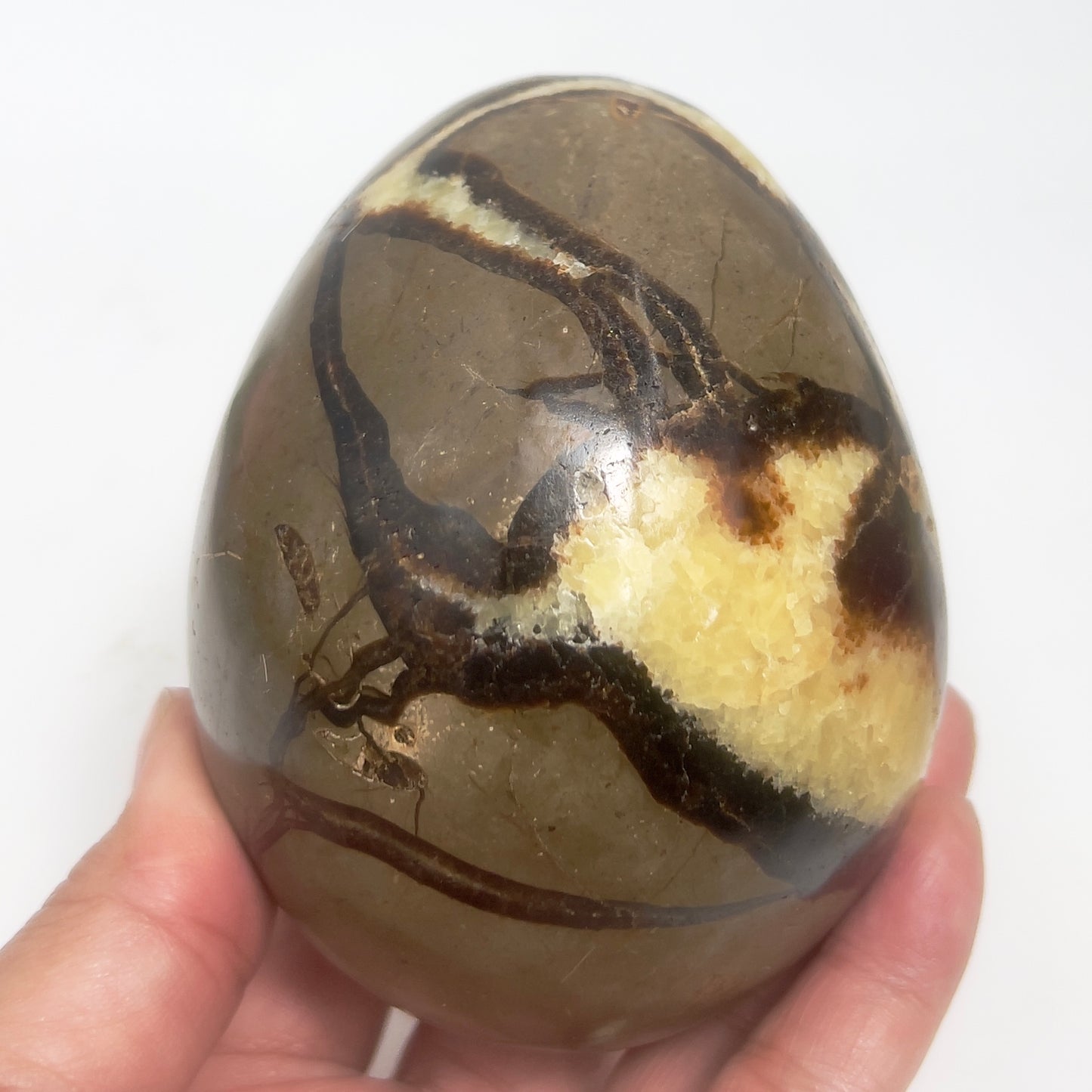Septarian Jasper Dragon Stone Skull Healing Crystal Carving 1032g