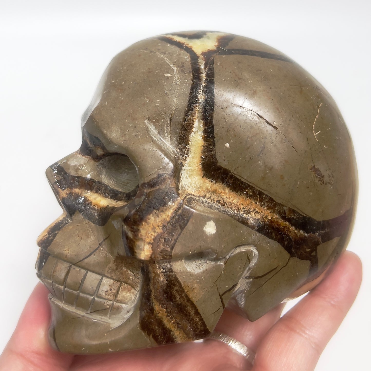 Septarian Jasper Dragon Stone Skull Healing Crystal Carving 1032g