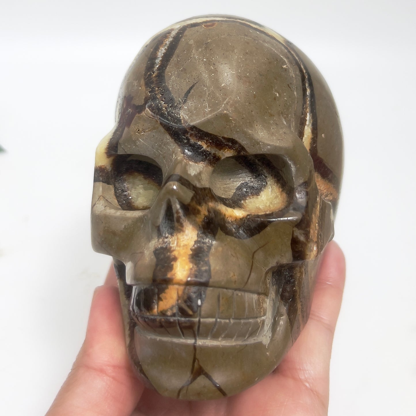 Septarian Jasper Dragon Stone Skull Healing Crystal Carving 1032g