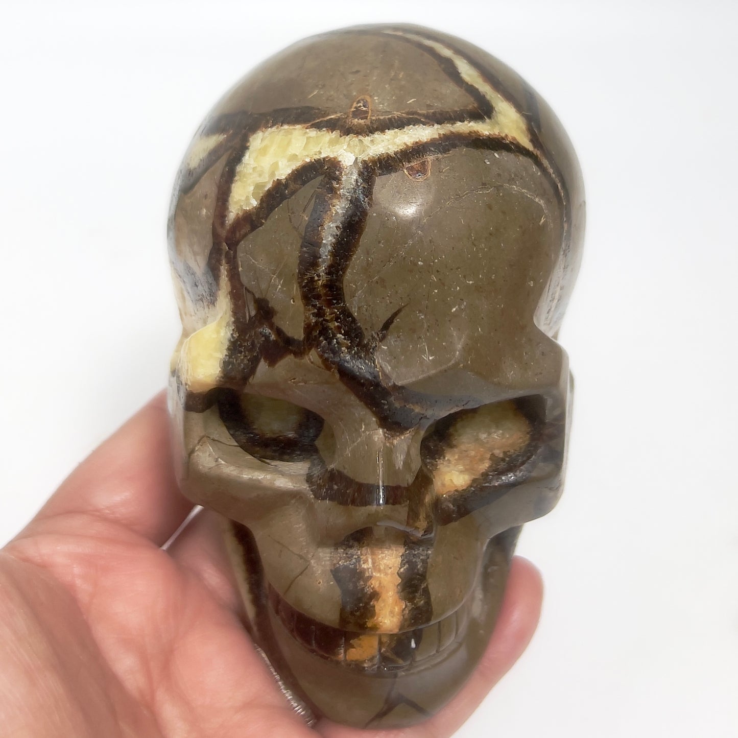 Septarian Jasper Dragon Stone Skull Healing Crystal Carving 1032g