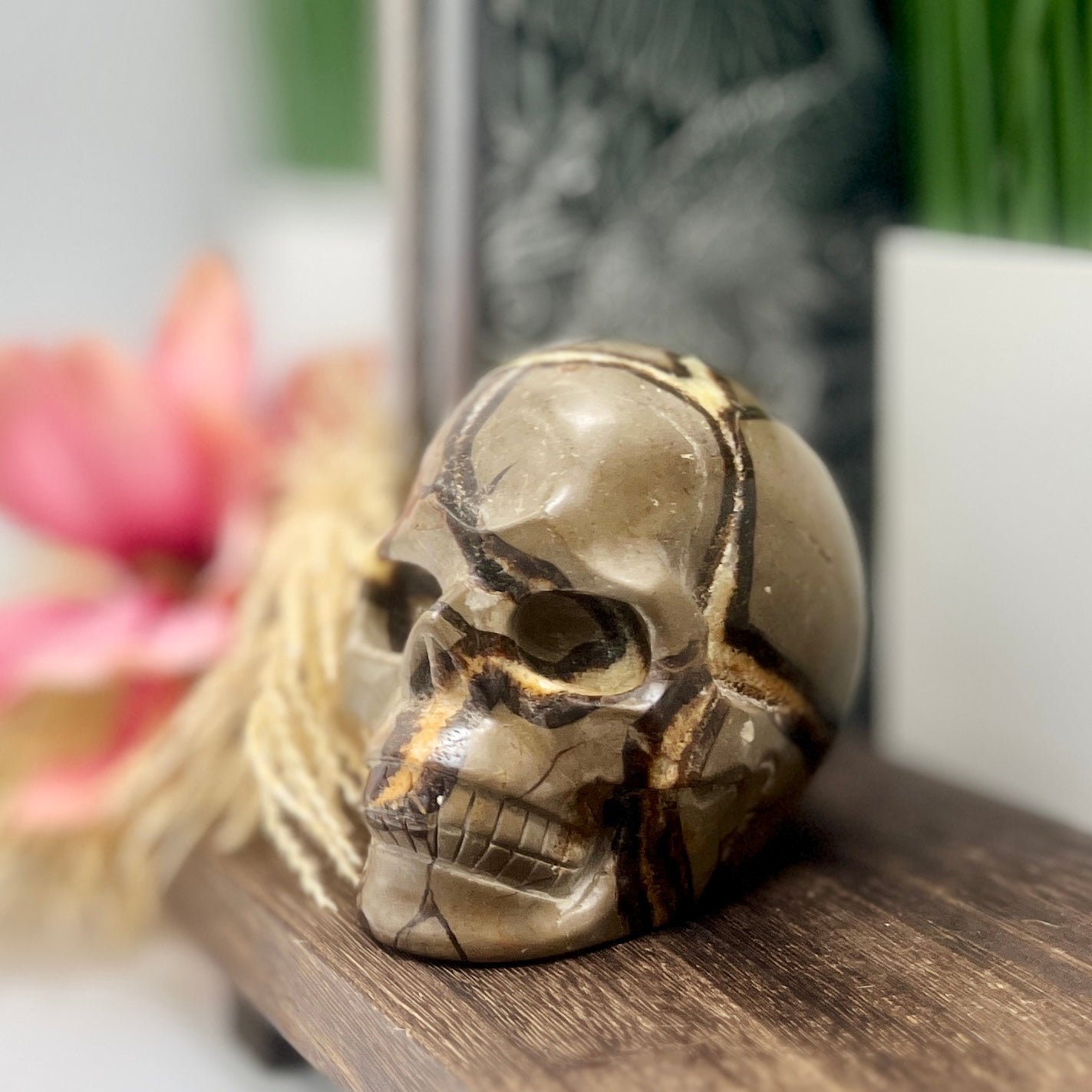 Septarian Jasper Dragon Stone Skull Healing Crystal Carving 1032g