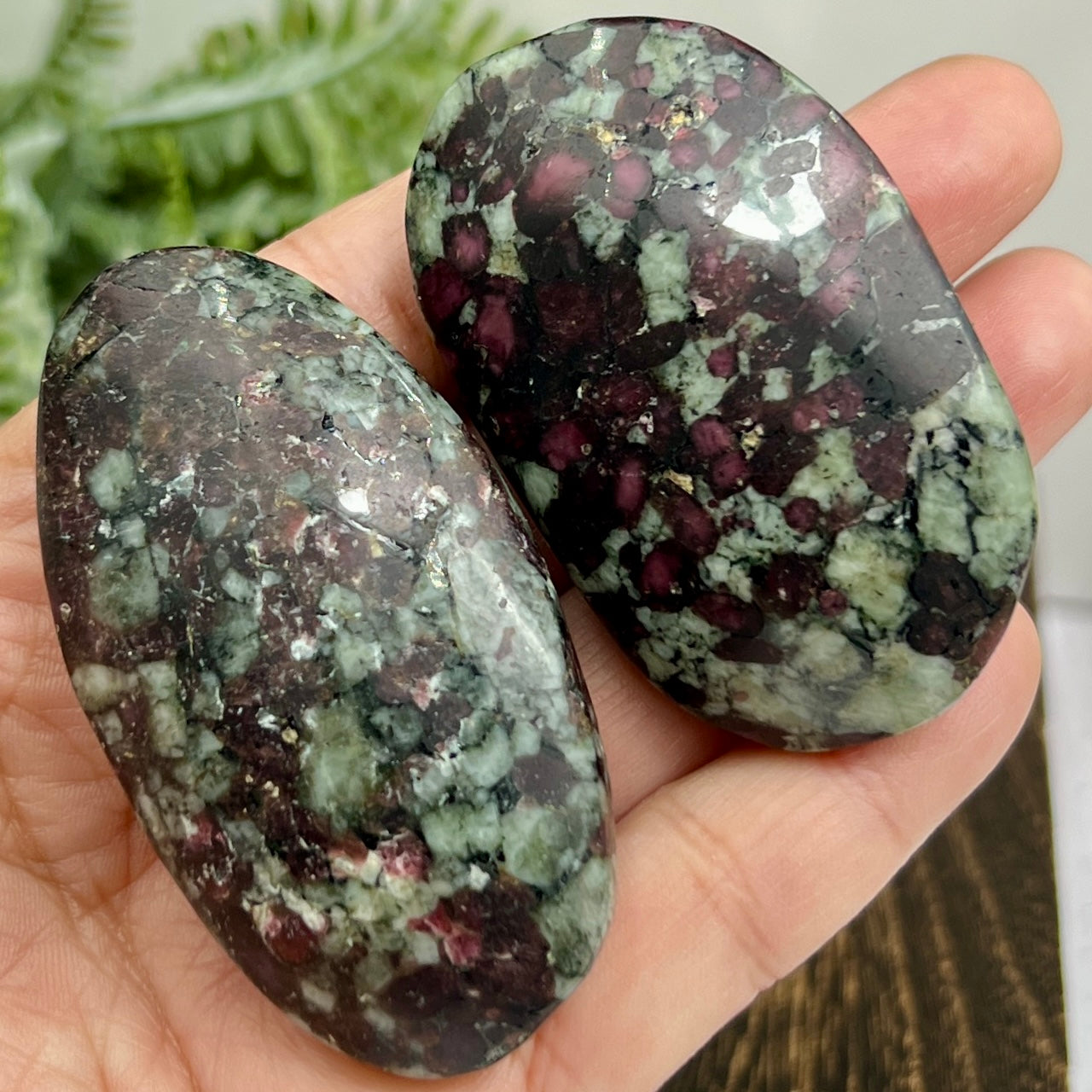 Eudialyte Garnet Feldspar Niter Rare UV Reactive Palm Stones Meditation Crystals