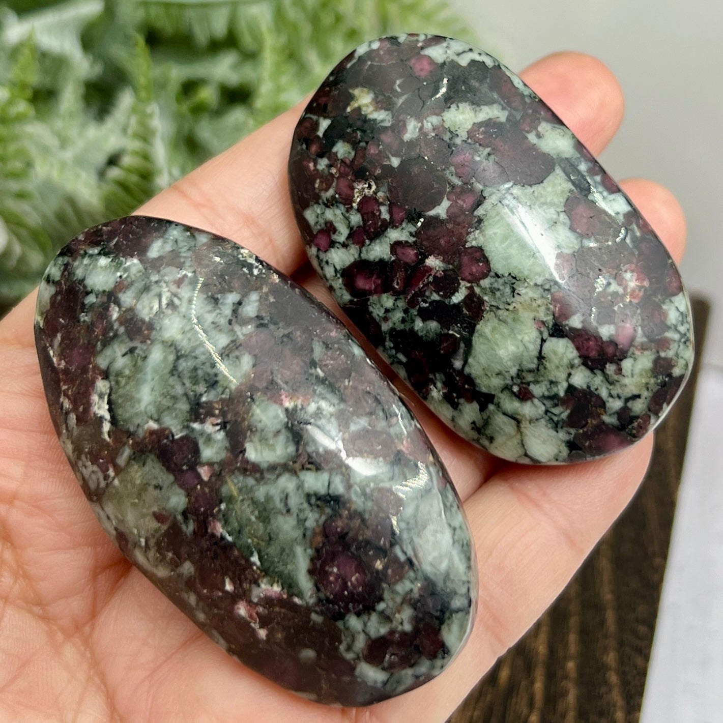 Eudialyte Garnet Feldspar Niter Rare UV Reactive Palm Stones Meditation Crystals