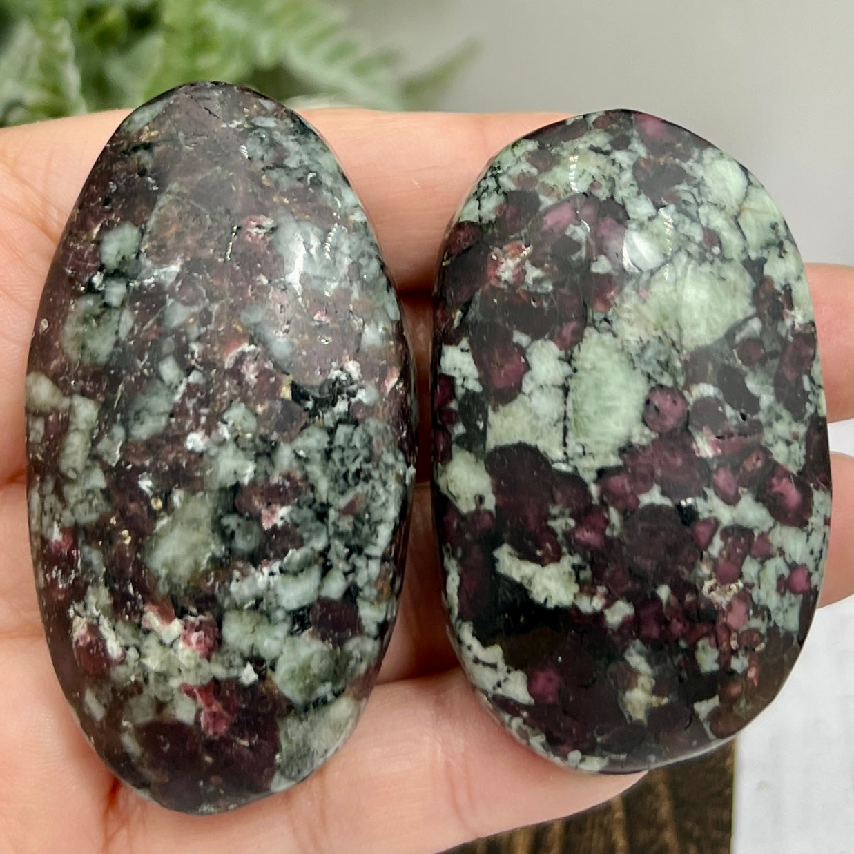 Eudialyte Garnet Feldspar Niter Rare UV Reactive Palm Stones Meditation Crystals