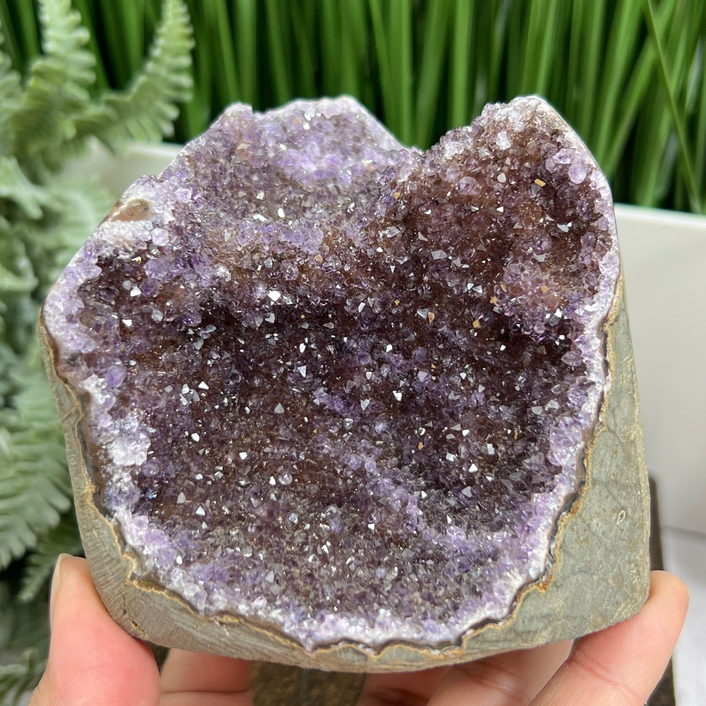 Ametrine Amethyst Citrine Geode Cluster Cave Healing Natural Crystal 722g