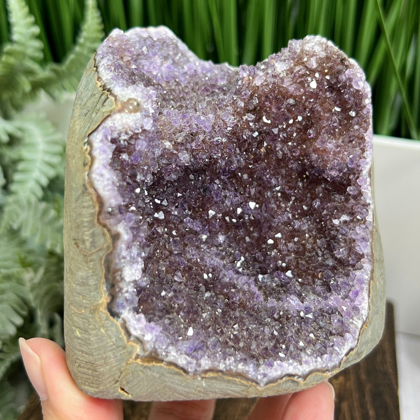 Ametrine Amethyst Citrine Geode Cluster Cave Healing Natural Crystal 722g