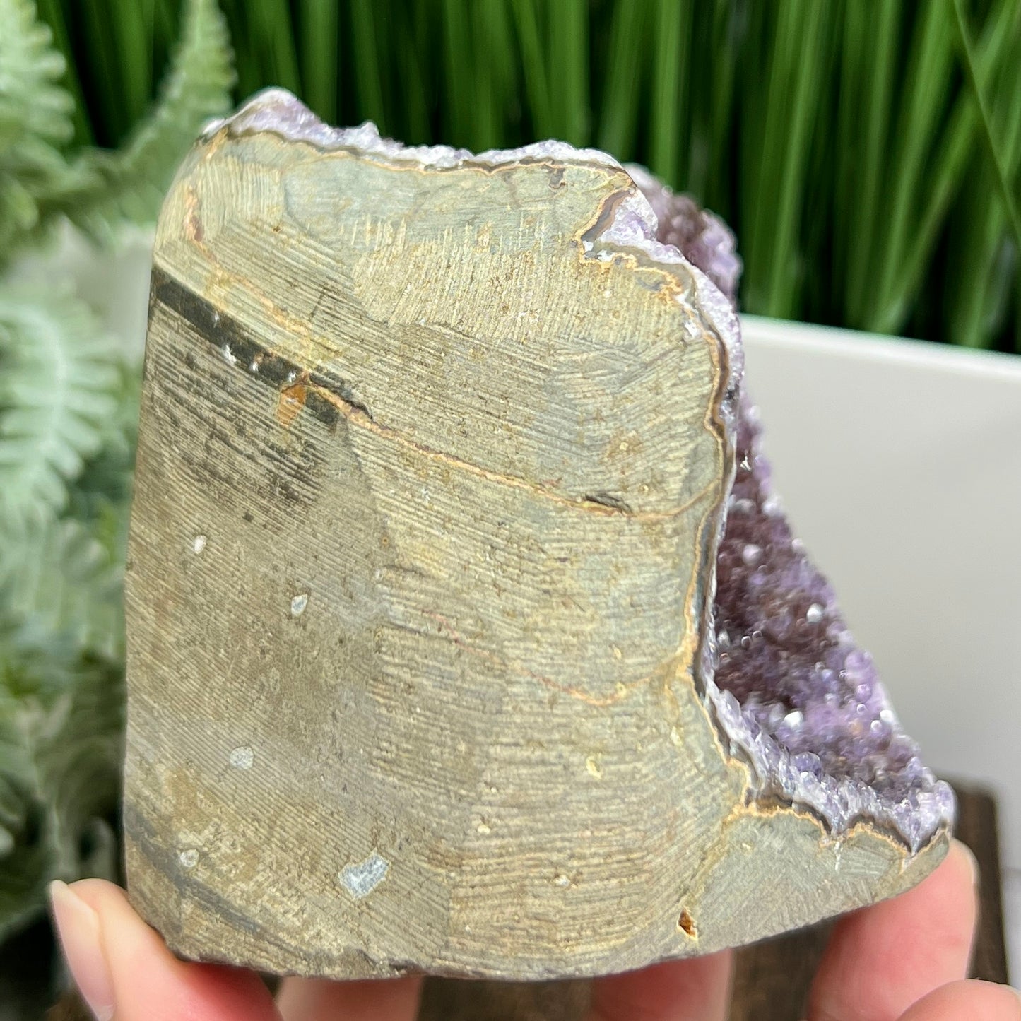 Ametrine Amethyst Citrine Geode Cluster Cave Healing Natural Crystal 722g