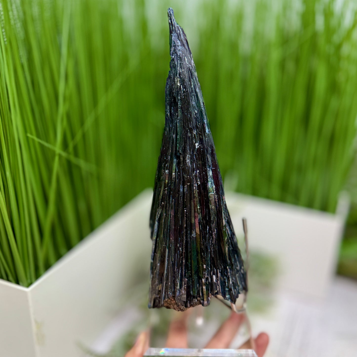 Huge Vivianite RARE Specimen Natural Raw Crystal with Stand 1368g 260mm