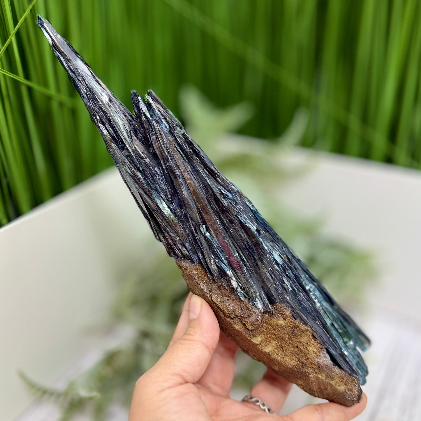 Large Vivianite RARE Specimen Natural Raw Crystal 546g 275mm
