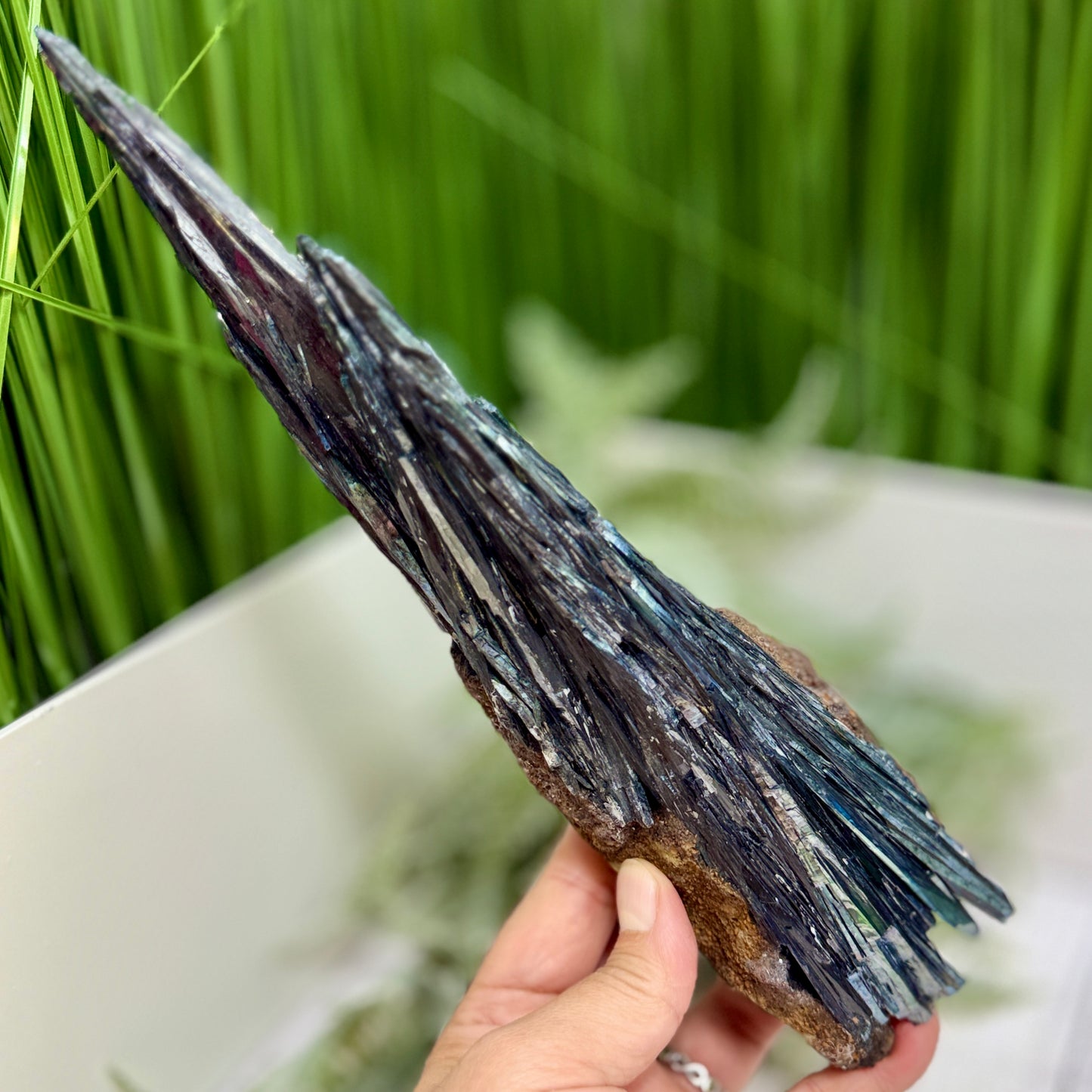 Large Vivianite RARE Specimen Natural Raw Crystal 546g 275mm