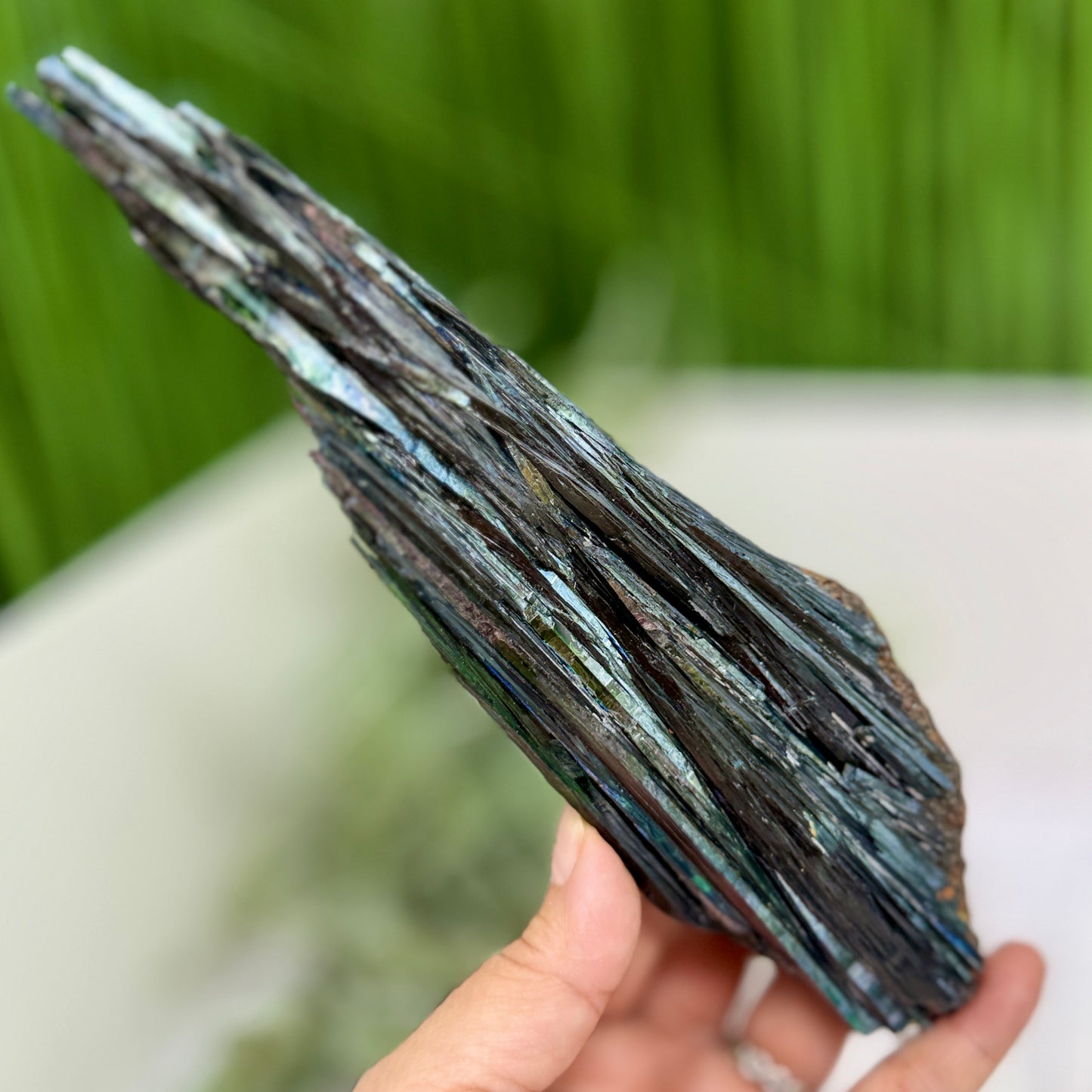 Vivianite RARE Specimen Natural Raw Crystal 302g 217mm