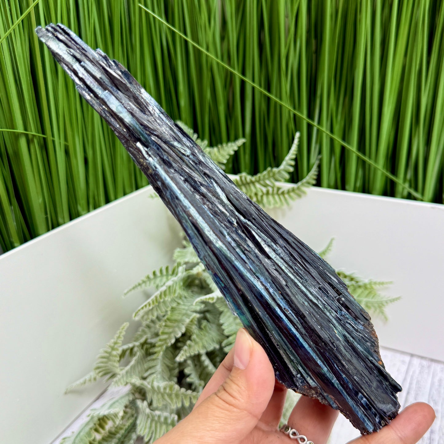 Vivianite RARE Specimen Natural Raw Crystal 302g 217mm