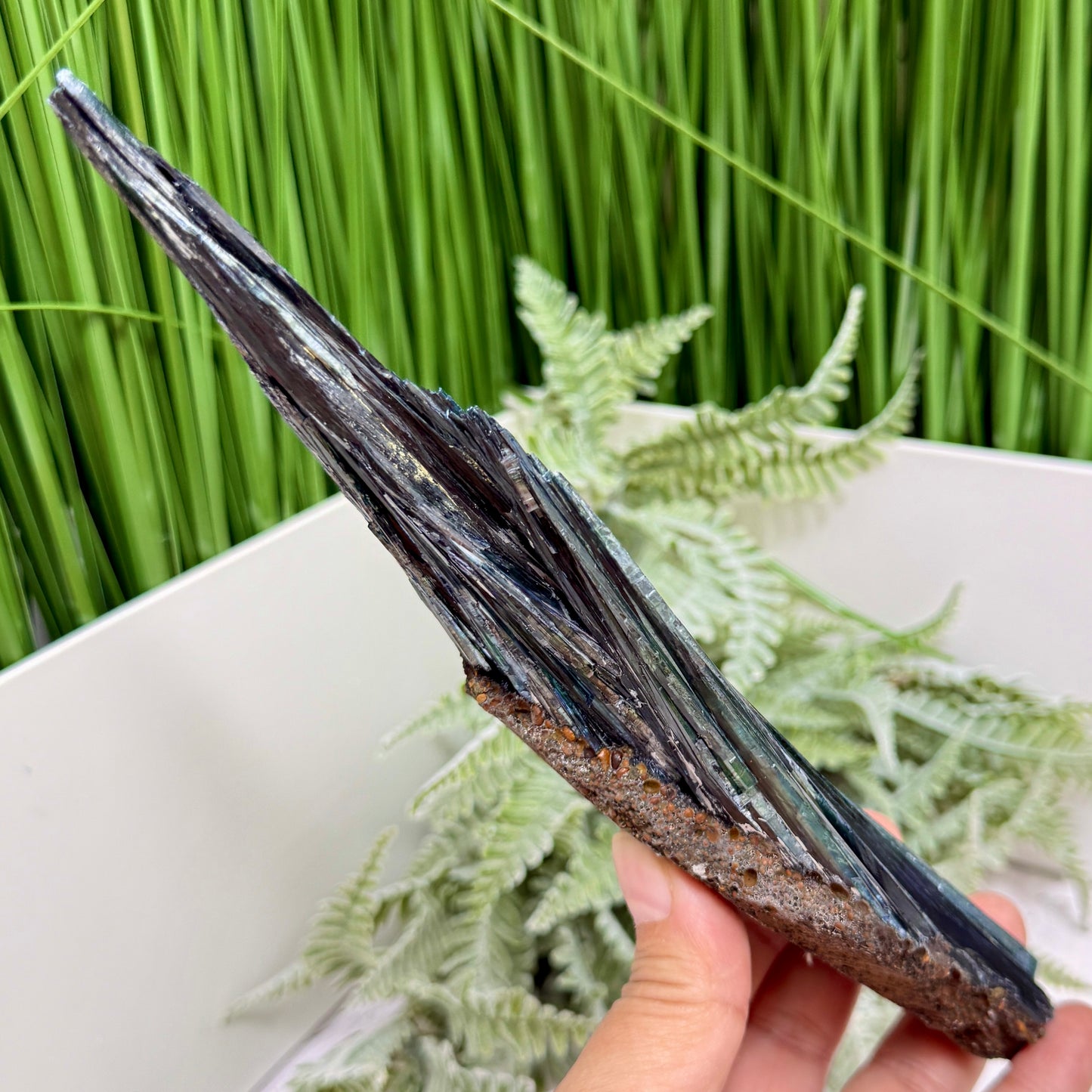 Vivianite RARE Specimen Natural Raw Crystal 302g 217mm
