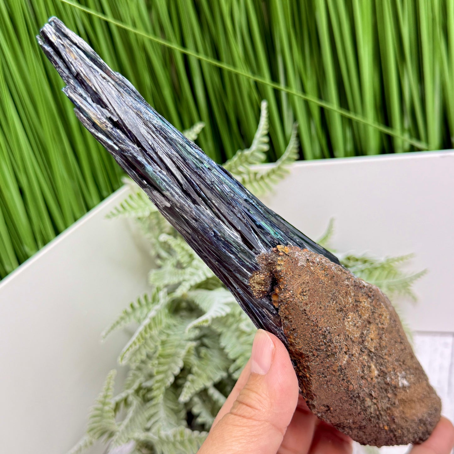 Vivianite RARE Specimen Natural Raw Crystal 302g 217mm