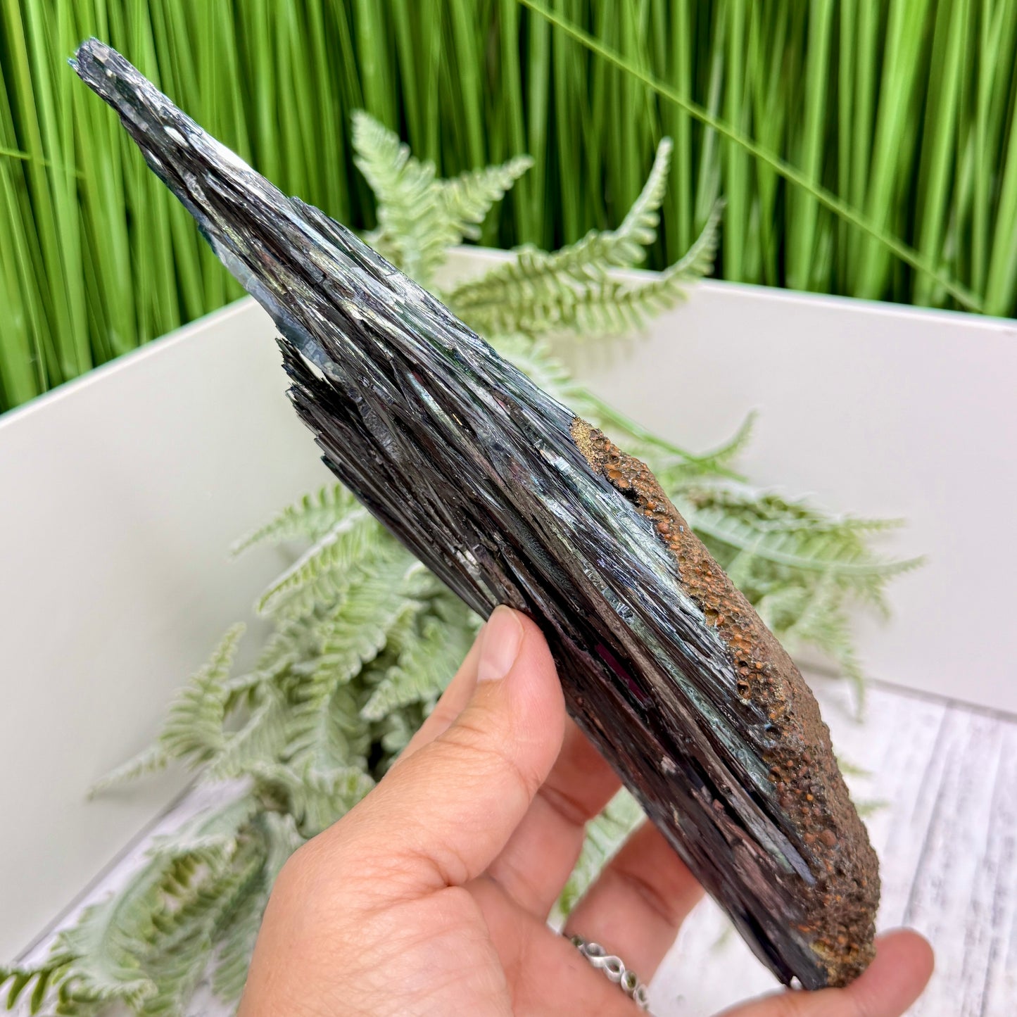 Vivianite RARE Specimen Natural Raw Crystal 302g 217mm