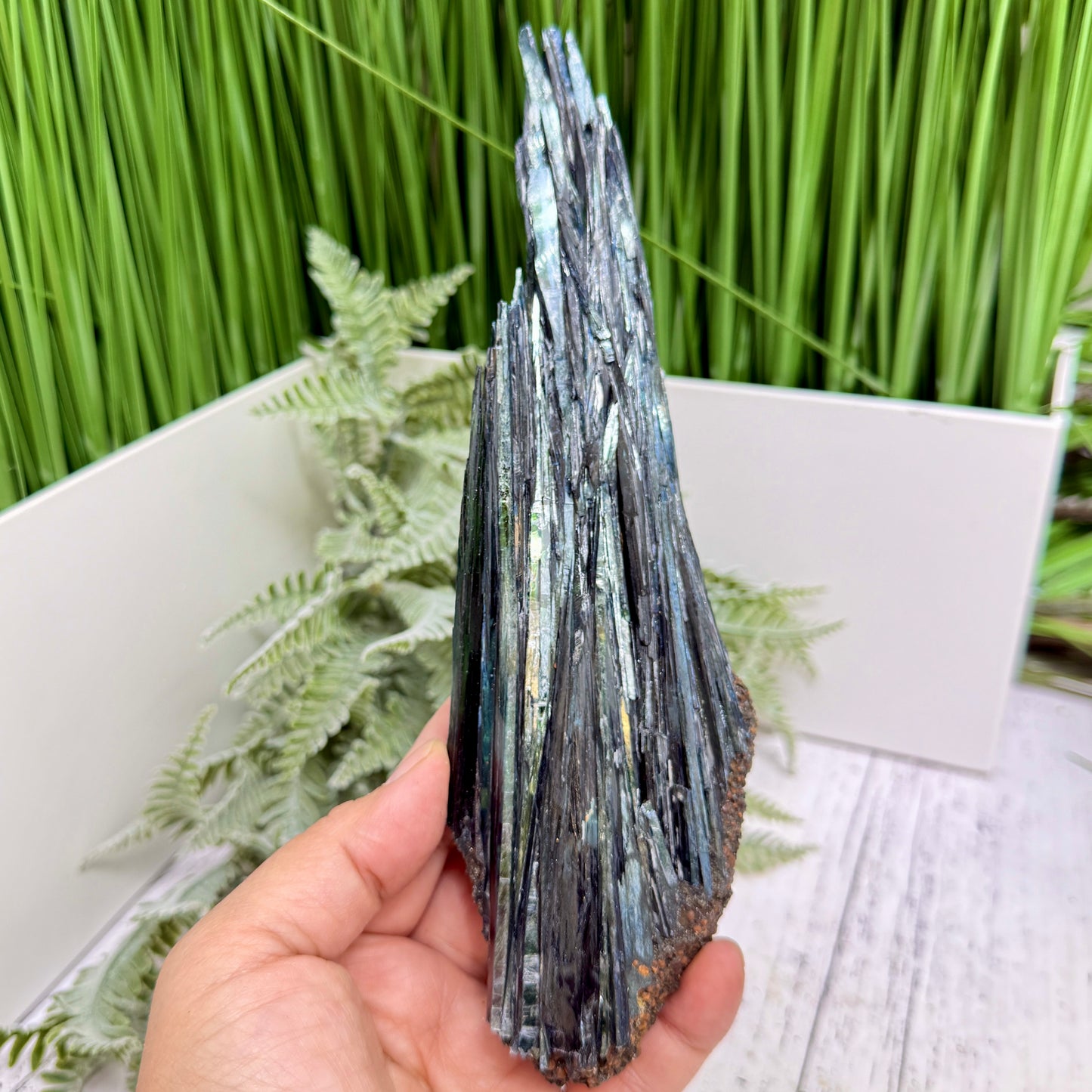 Vivianite RARE Specimen Natural Raw Crystal 302g 217mm