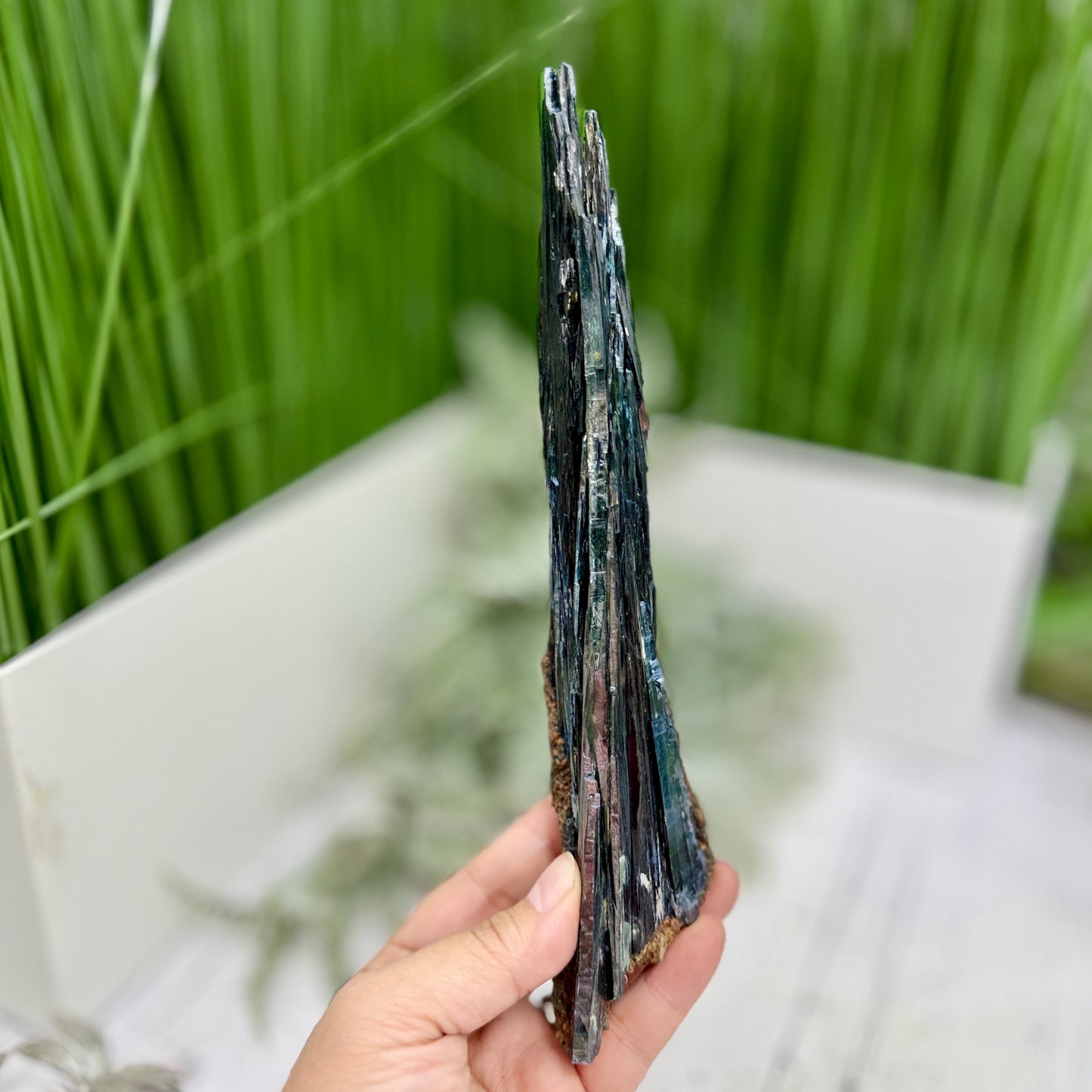 Vivianite RARE Specimen Natural Raw Crystal 248g 240mm