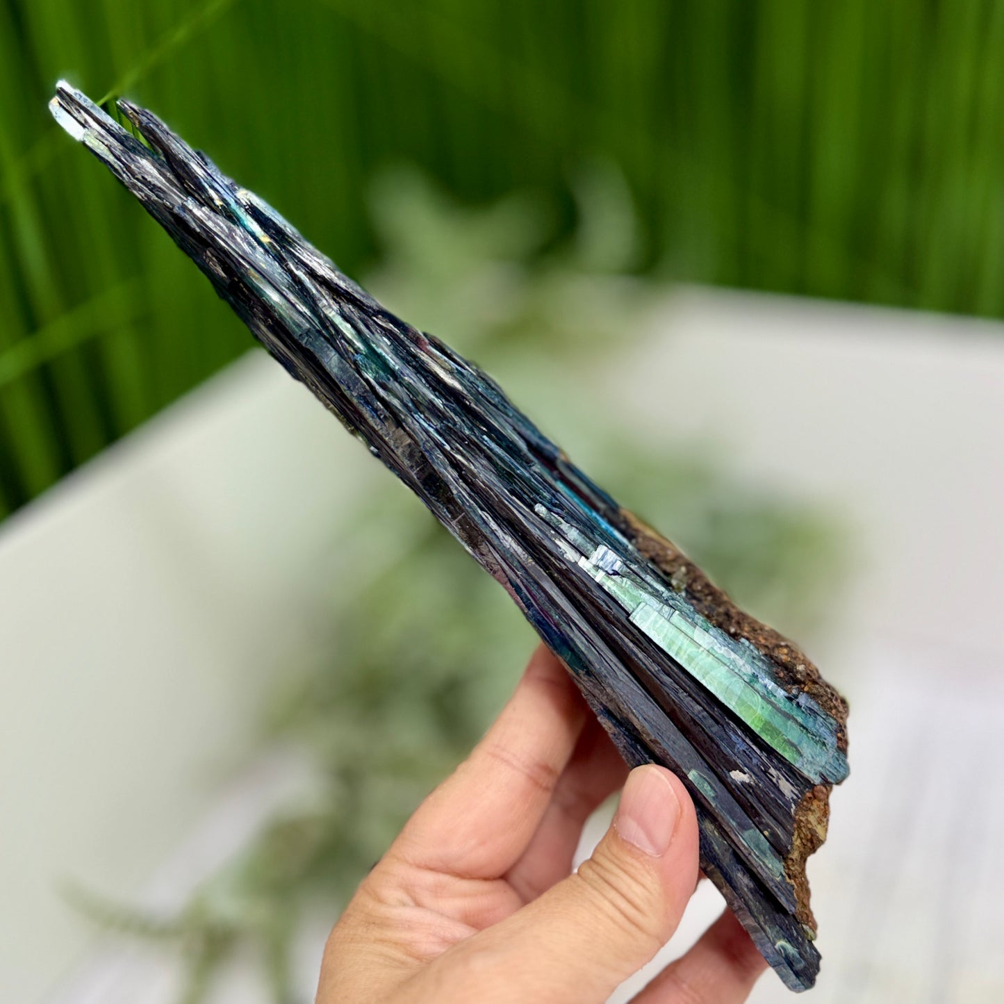 Vivianite RARE Specimen Natural Raw Crystal 248g 240mm