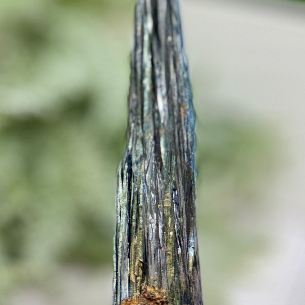 Vivianite RARE Specimen Natural Raw Crystal 248g 240mm
