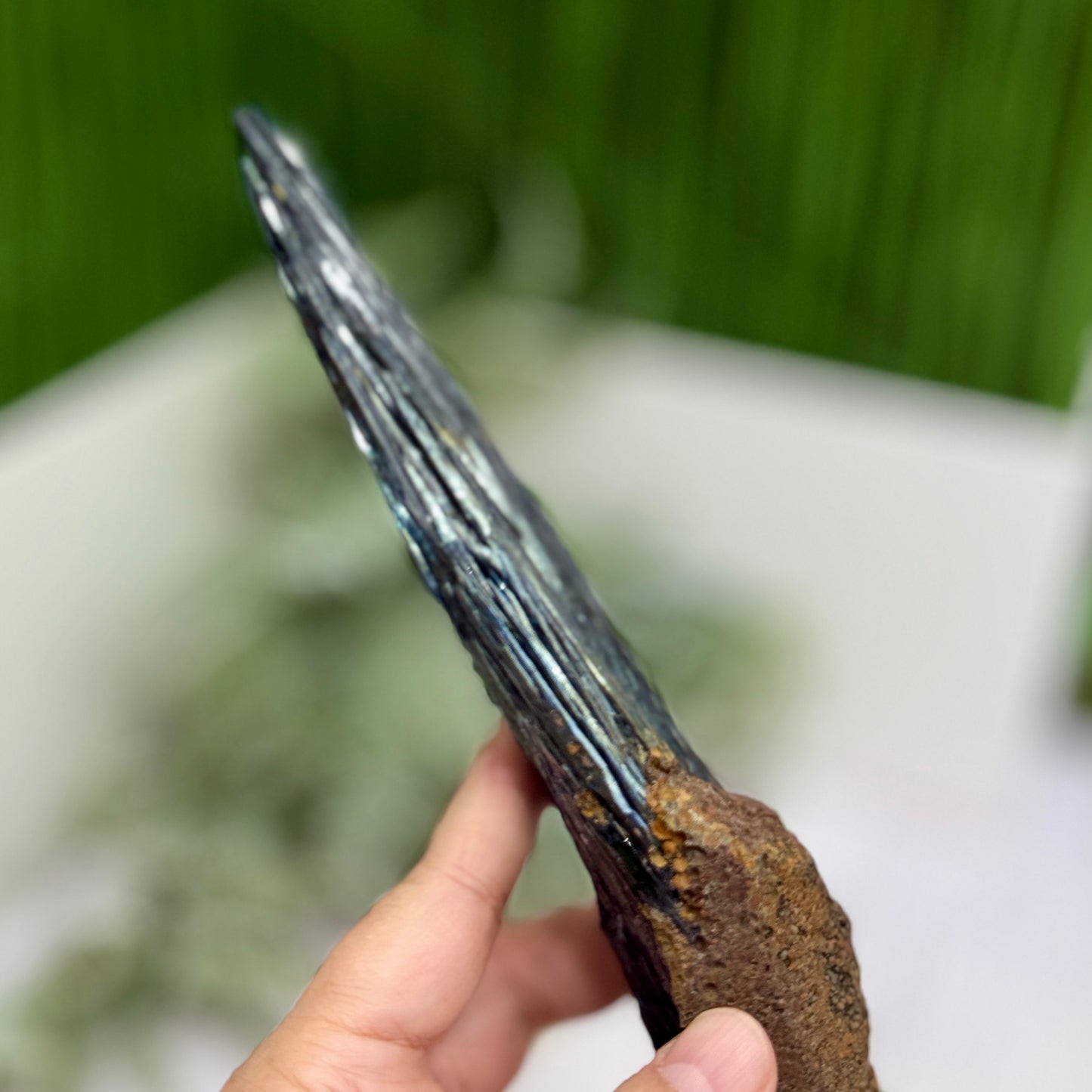 Vivianite RARE Specimen Natural Raw Crystal 248g 240mm