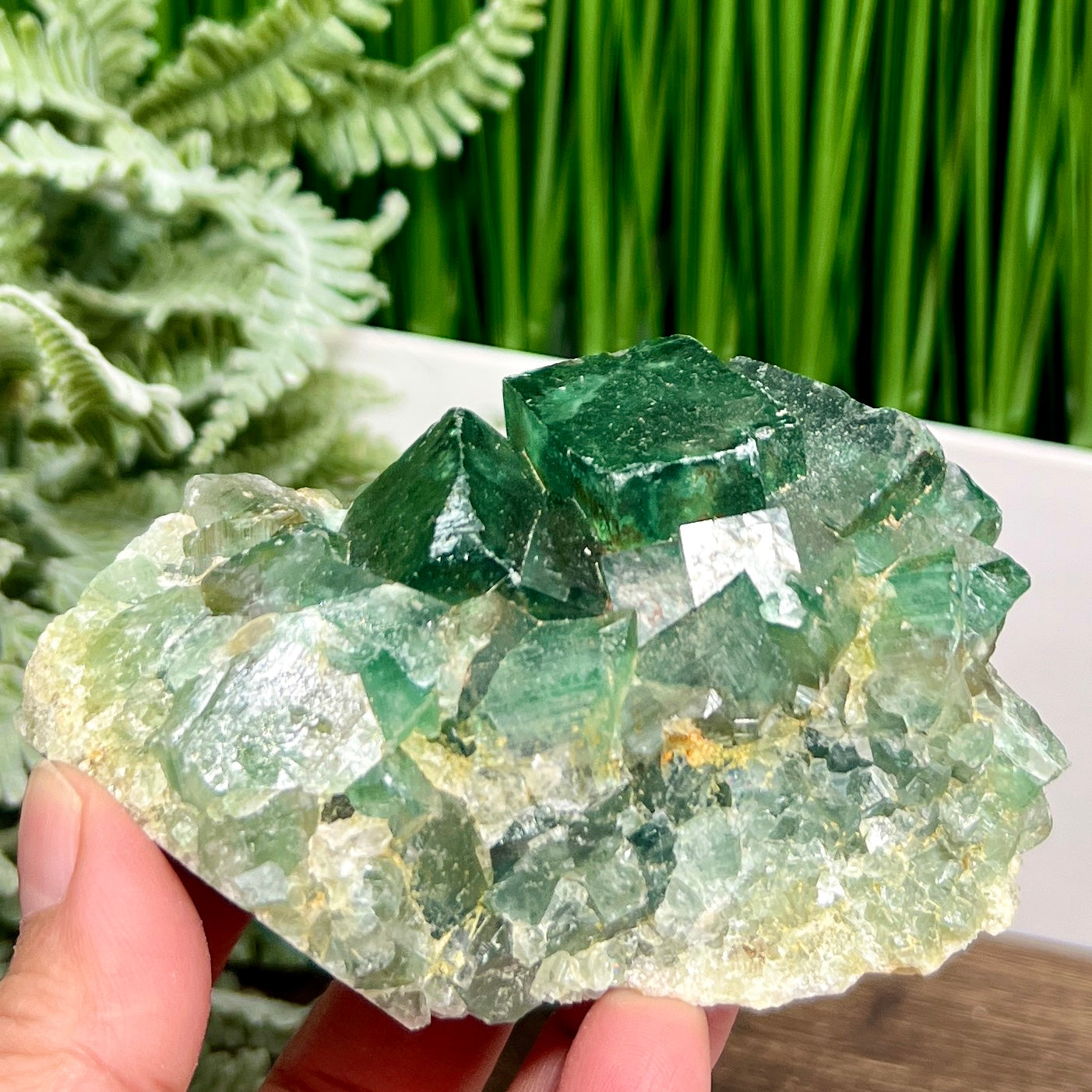 Fluorite Green Natural Raw Specimen Green Crystal Healing 360g