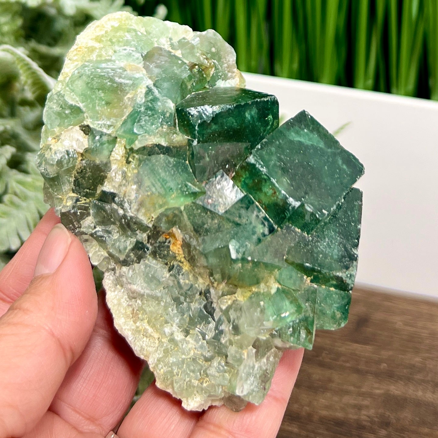 Fluorite Green Natural Raw Specimen Green Crystal Healing 360g