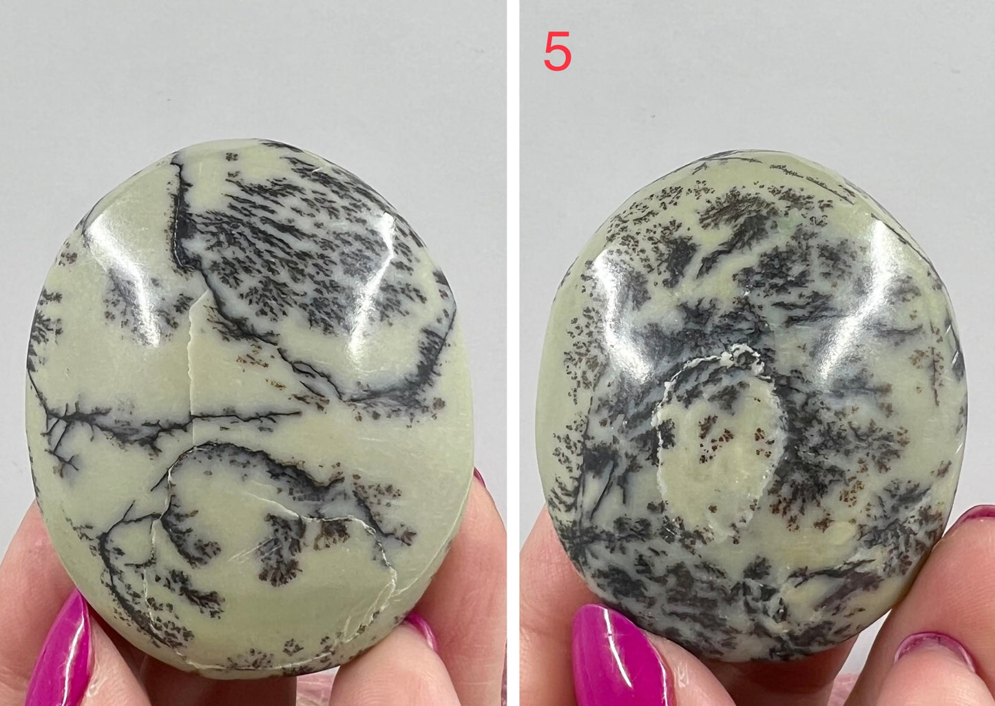Dendritic Jasper Palm Stone Worry Crystal YOU CHOOSE
