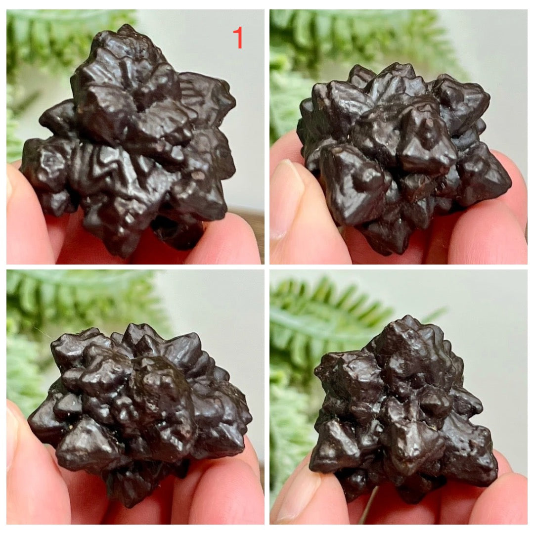 Prophecy Stones RARE Limonite Marcasite Raw Specimens Crystals