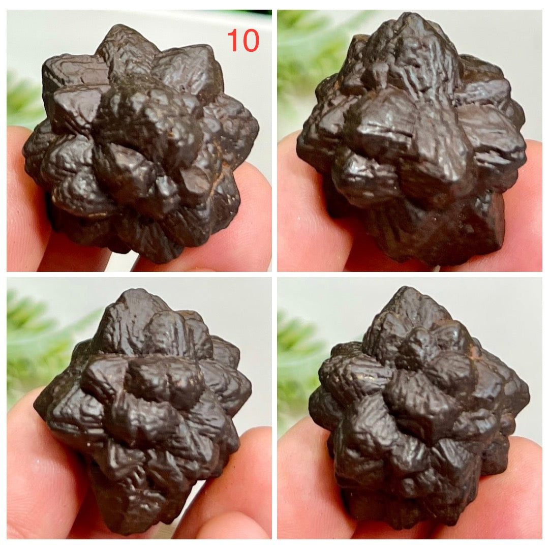 Prophecy Stones RARE Limonite Marcasite Raw Specimens Crystals