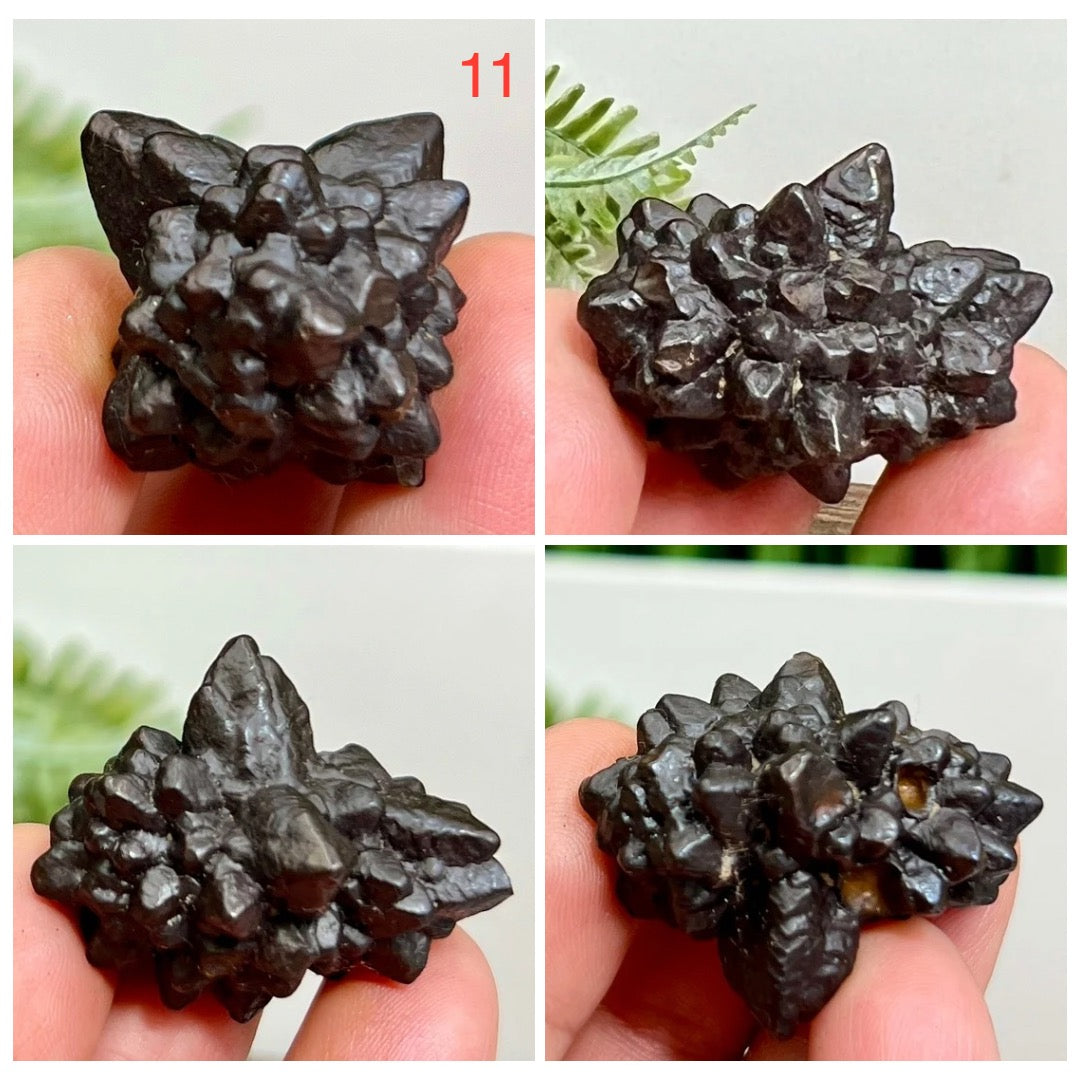 Prophecy Stones RARE Limonite Marcasite Raw Specimens Crystals