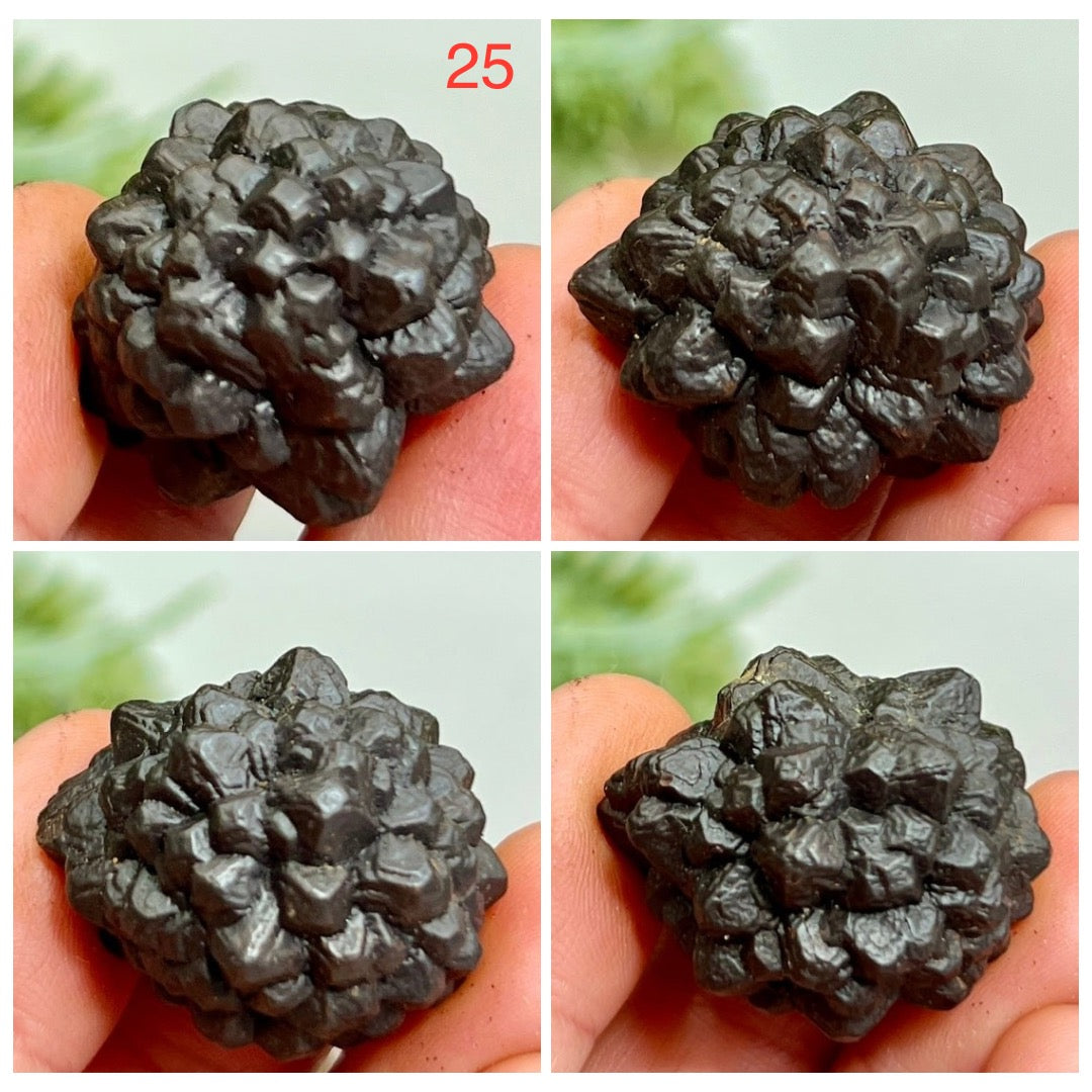 Prophecy Stones RARE Limonite Marcasite Raw Specimens Crystals