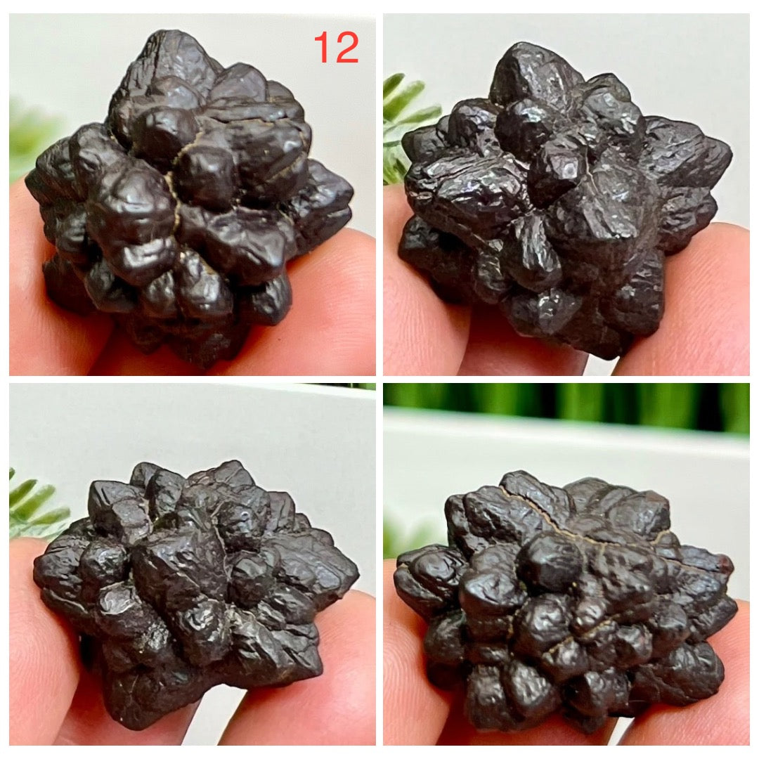 Prophecy Stones RARE Limonite Marcasite Raw Specimens Crystals