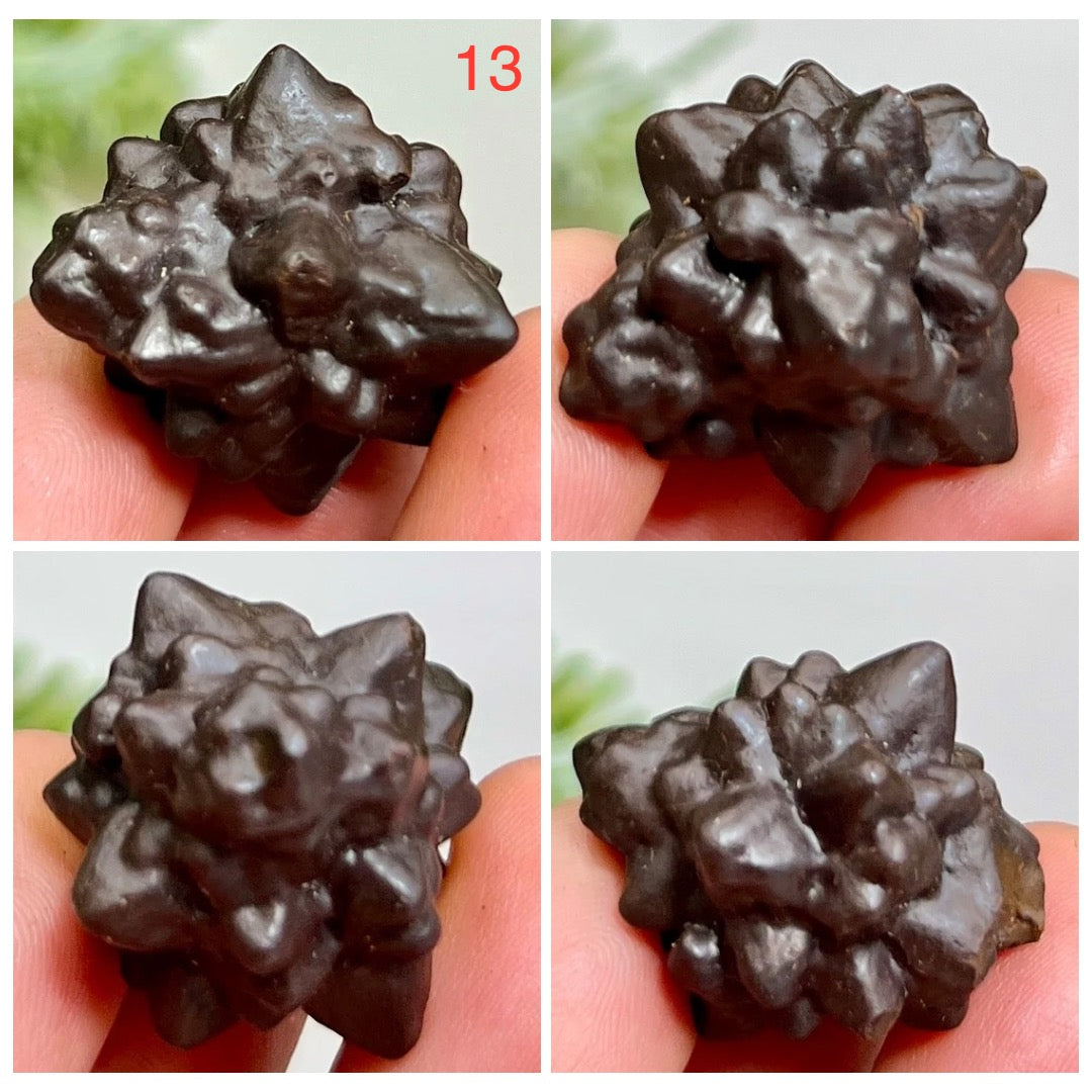 Prophecy Stones RARE Limonite Marcasite Raw Specimens Crystals