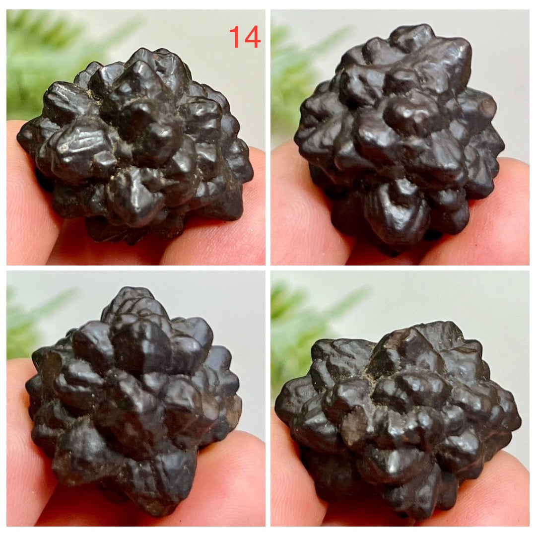 Prophecy Stones RARE Limonite Marcasite Raw Specimens Crystals