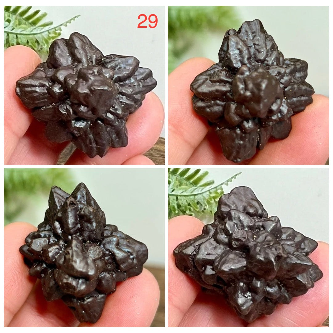 Prophecy Stones RARE Limonite Marcasite Raw Specimens Crystals