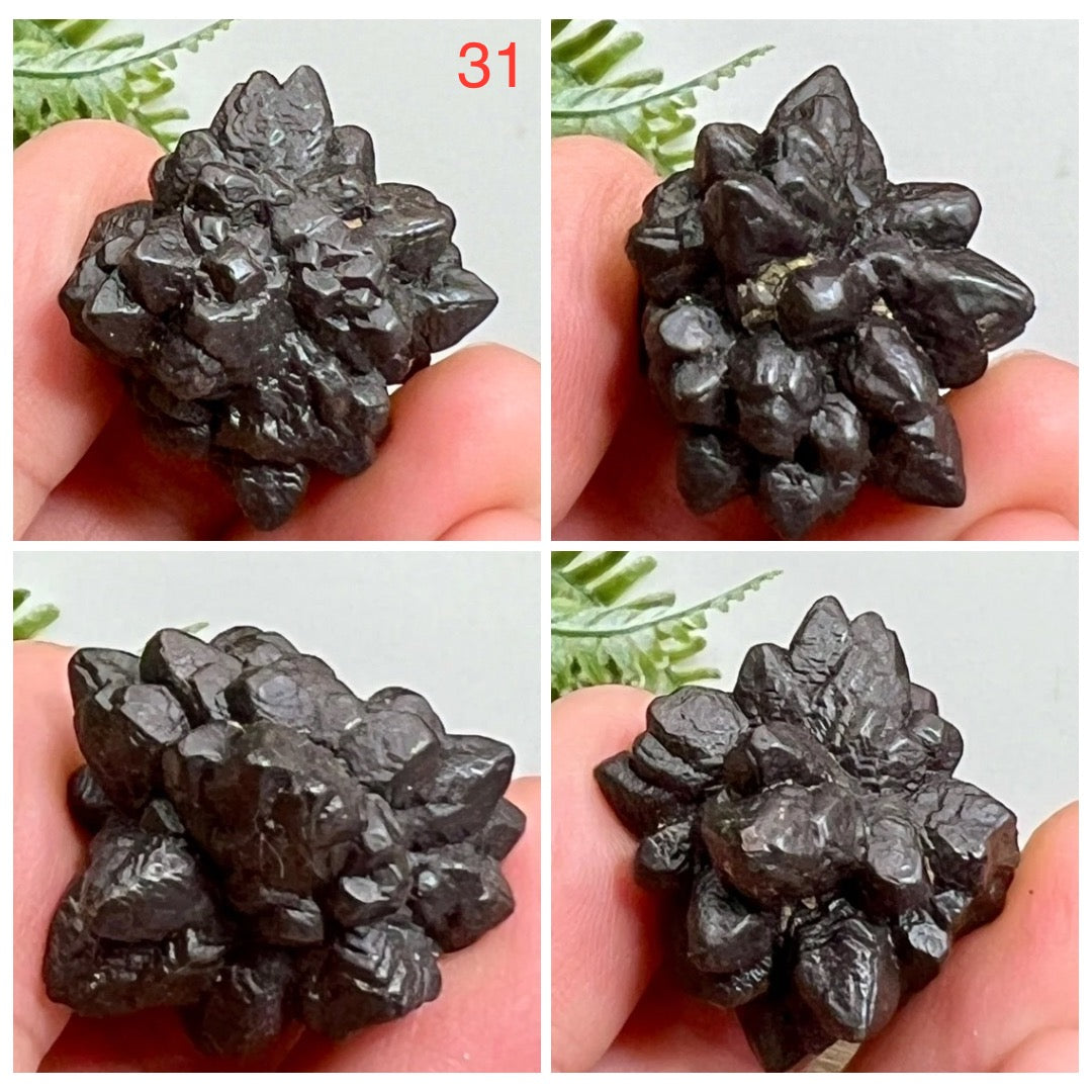 Prophecy Stones RARE Limonite Marcasite Raw Specimens Crystals