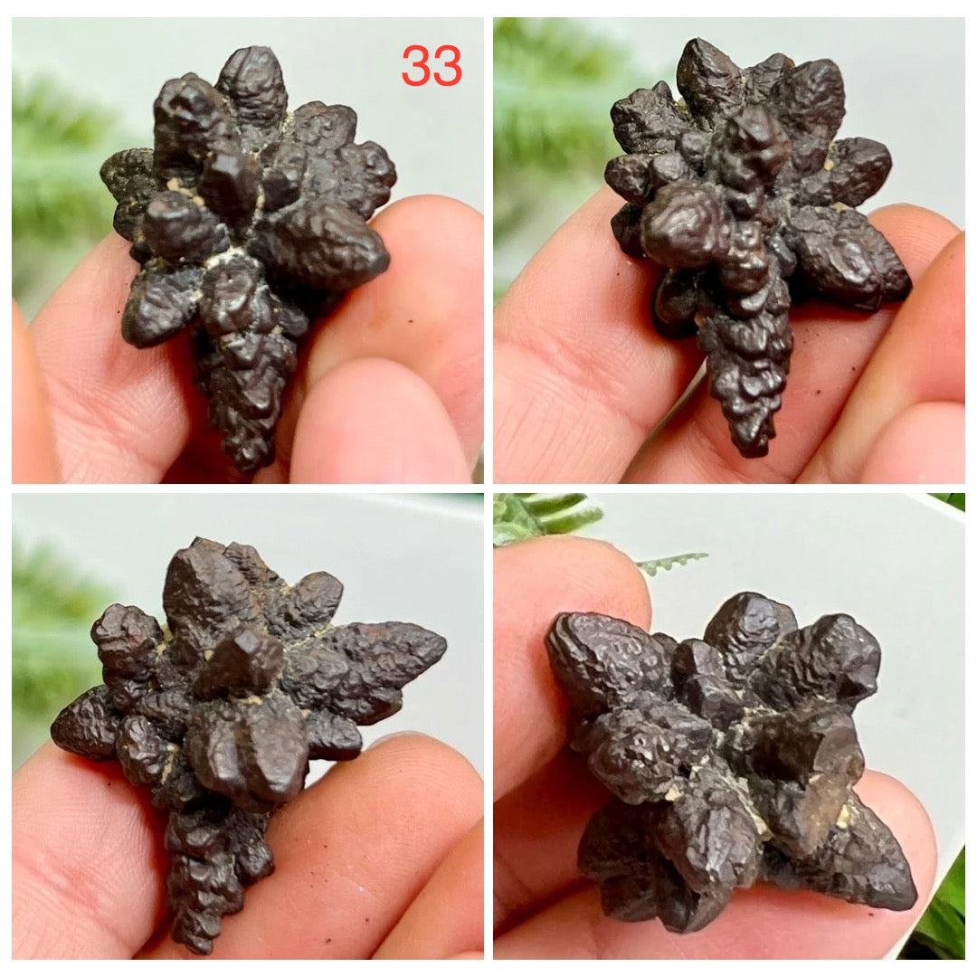 Prophecy Stones RARE Limonite Marcasite Raw Specimens Crystals