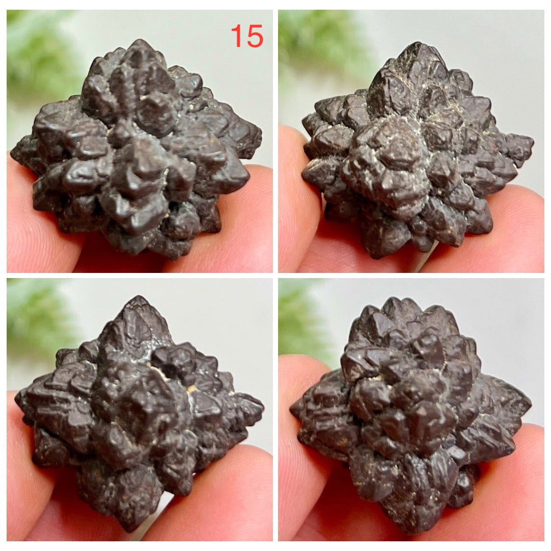 Prophecy Stones RARE Limonite Marcasite Raw Specimens Crystals
