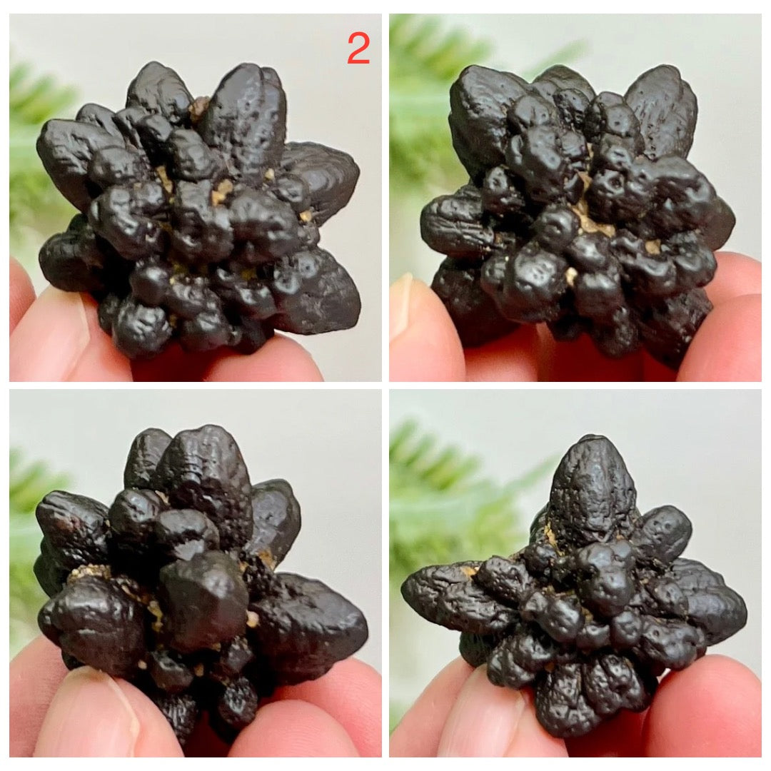Prophecy Stones RARE Limonite Marcasite Raw Specimens Crystals