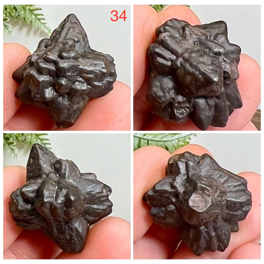Prophecy Stones RARE Limonite Marcasite Raw Specimens Crystals