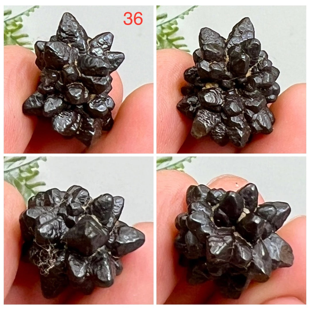 Prophecy Stones RARE Limonite Marcasite Raw Specimens Crystals