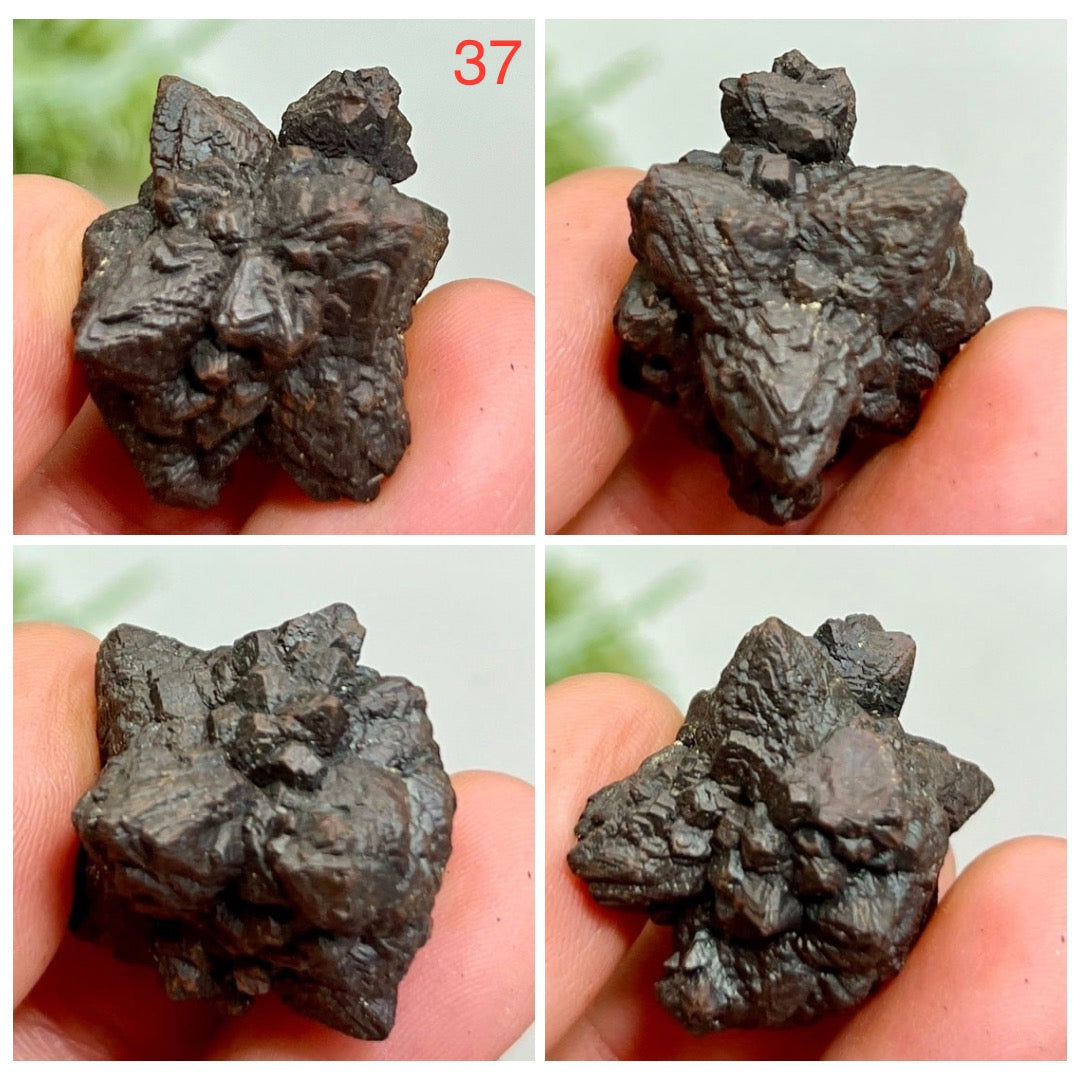 Prophecy Stones RARE Limonite Marcasite Raw Specimens Crystals