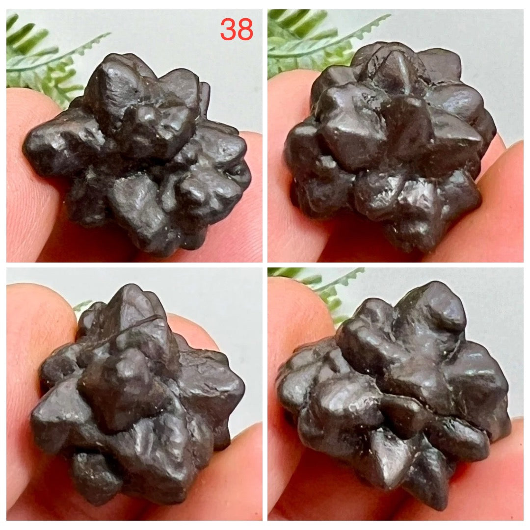 Prophecy Stones RARE Limonite Marcasite Raw Specimens Crystals