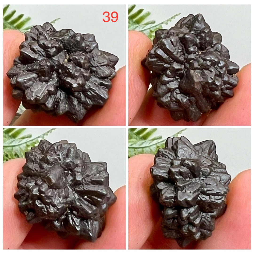 Prophecy Stones RARE Limonite Marcasite Raw Specimens Crystals