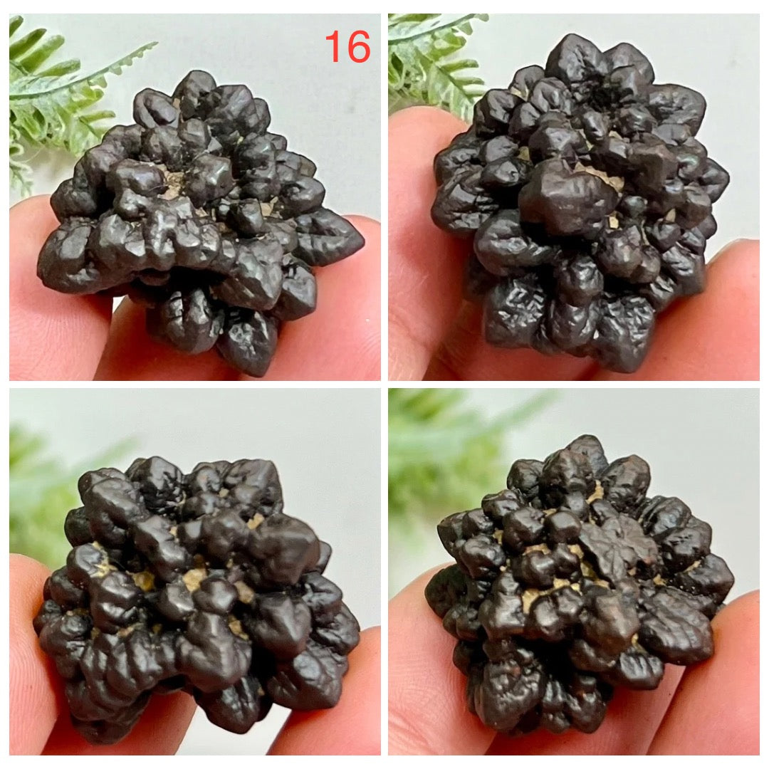 Prophecy Stones RARE Limonite Marcasite Raw Specimens Crystals